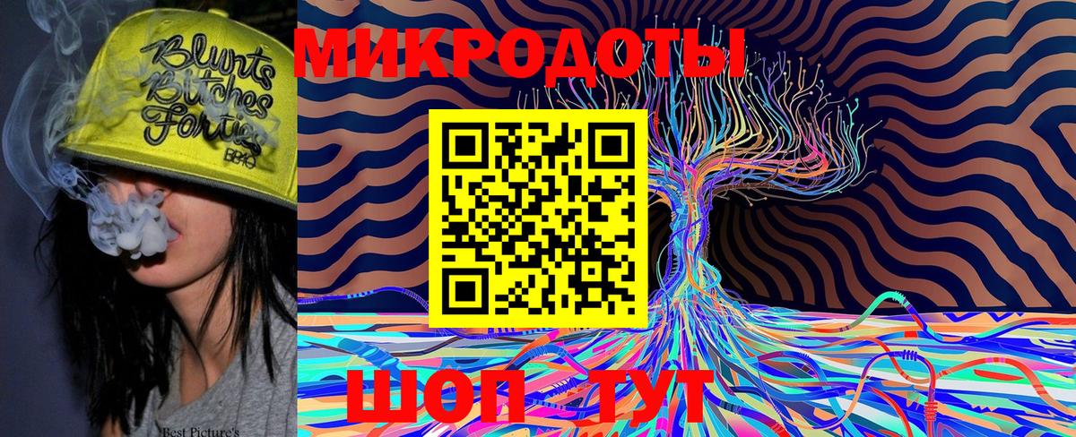 Городец  Псилоцибиновые грибы мицелий  Вход с VPN 