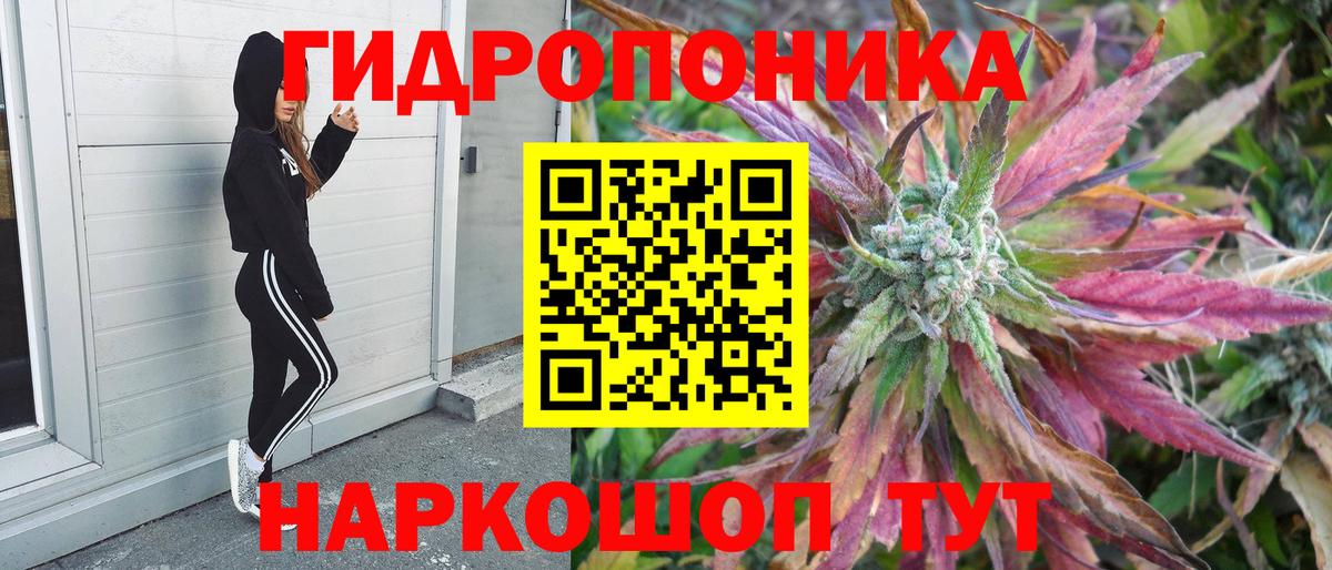 Каннабис конопля Городец